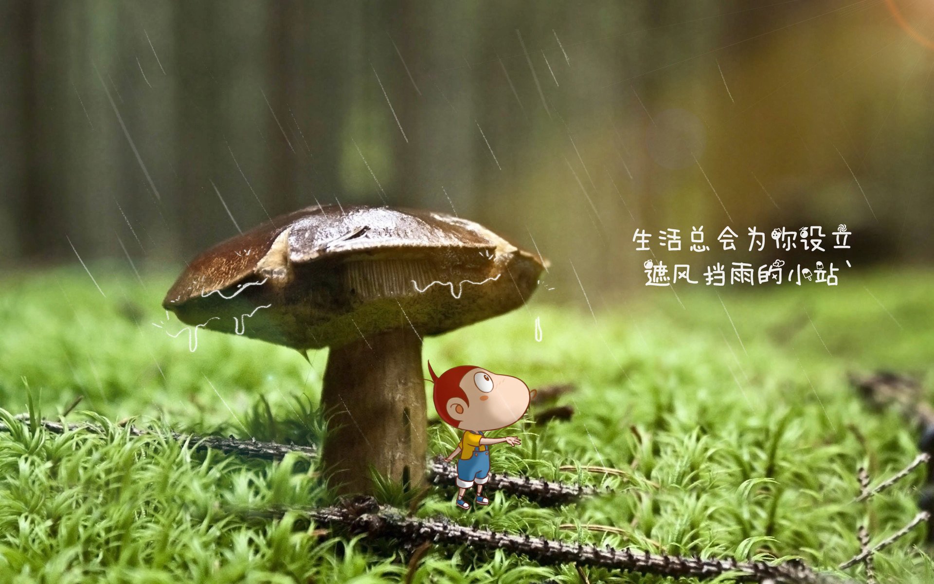 米兰体育官网-CBA赛季赛事精彩纷呈，cba赛季表