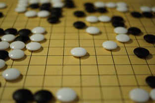 米兰登录入口-三强战术差异显现 澳队强调起速优势