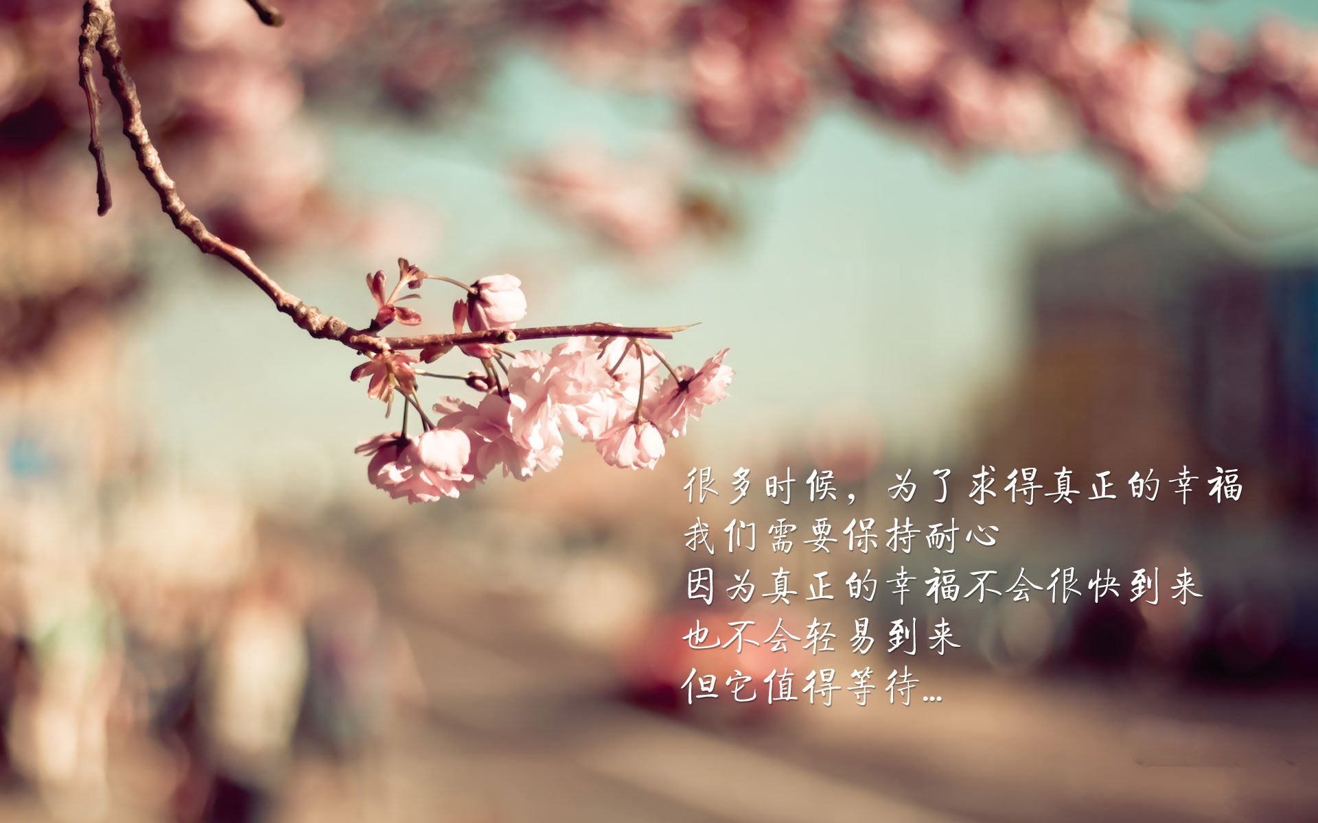 AC米兰-体操世锦赛开幕 中国队目标全项晋级，体操世锦赛2022