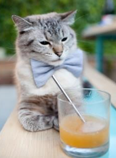 米兰登录入口-赛事赞助创新推动体育产业发展，体育赛事赞助成功案例