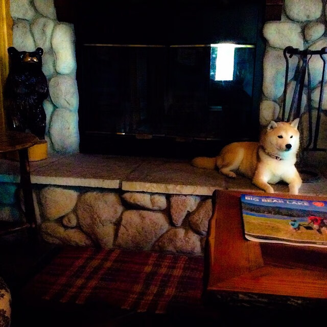 米兰体育APP-“萨尔·巴赫与南非羚羊队：一个不可忽视的联盟”