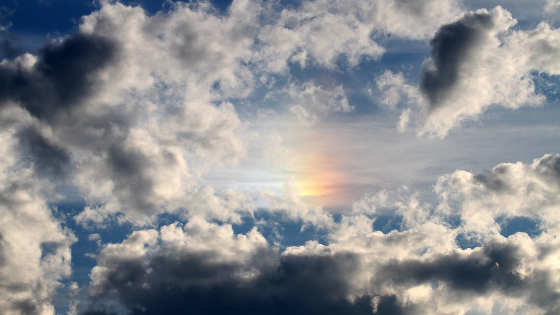 MILANSPORT入口-“马丁·高尔西的突破性表现，未来橄榄球赛场的巨星”