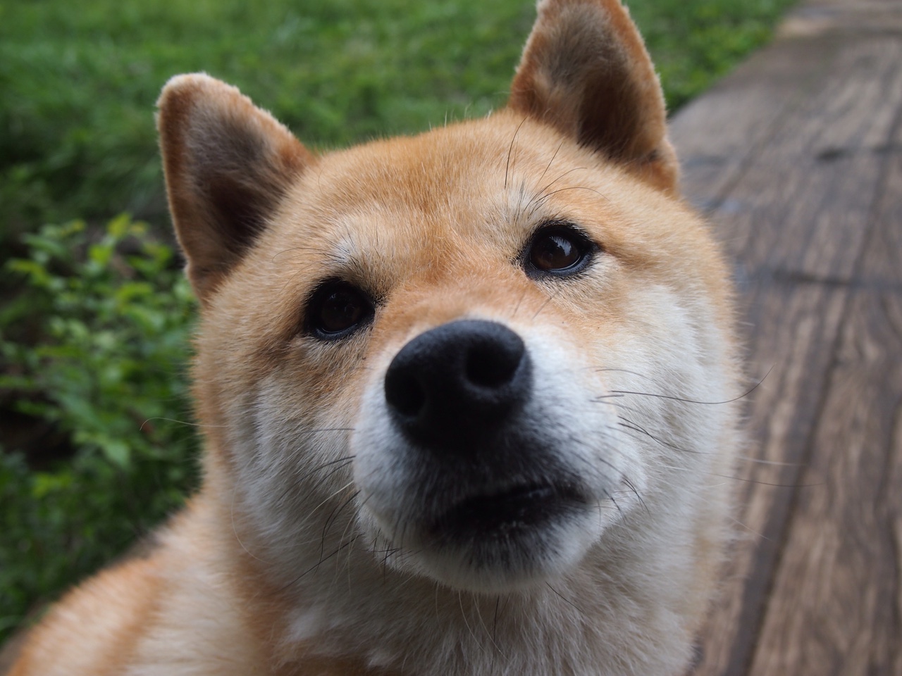 Milan Sports-主帅明确轮换策略确保核心球员在赛季后段保持良好状态，nba主力轮换