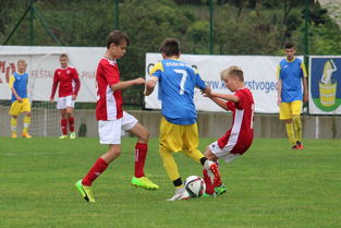 米兰体育-安哥拉女篮在非洲锦标赛中力争佳绩,迎来新希望