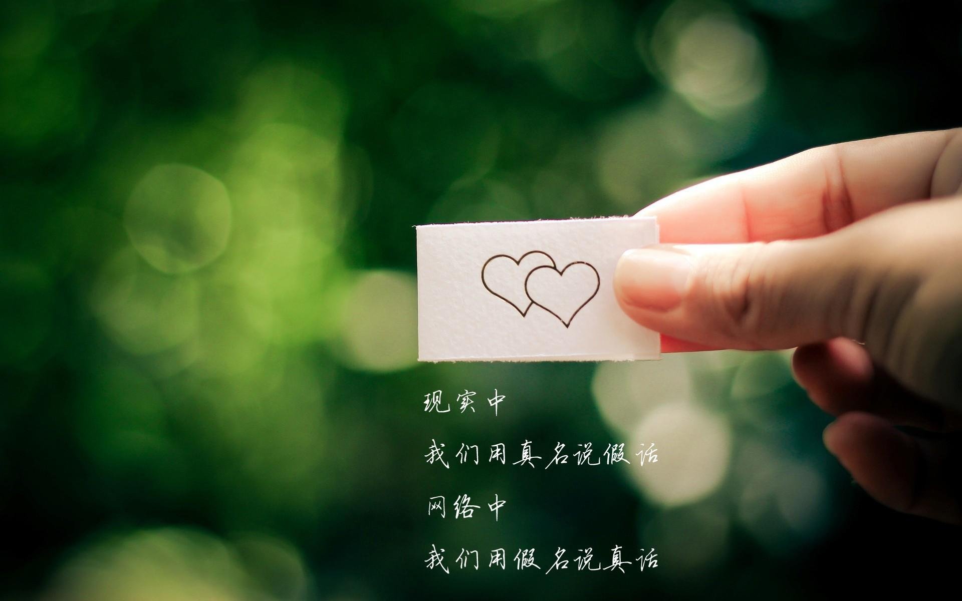 -极限运动纪录片荣获国际奖项,极限运动冠军