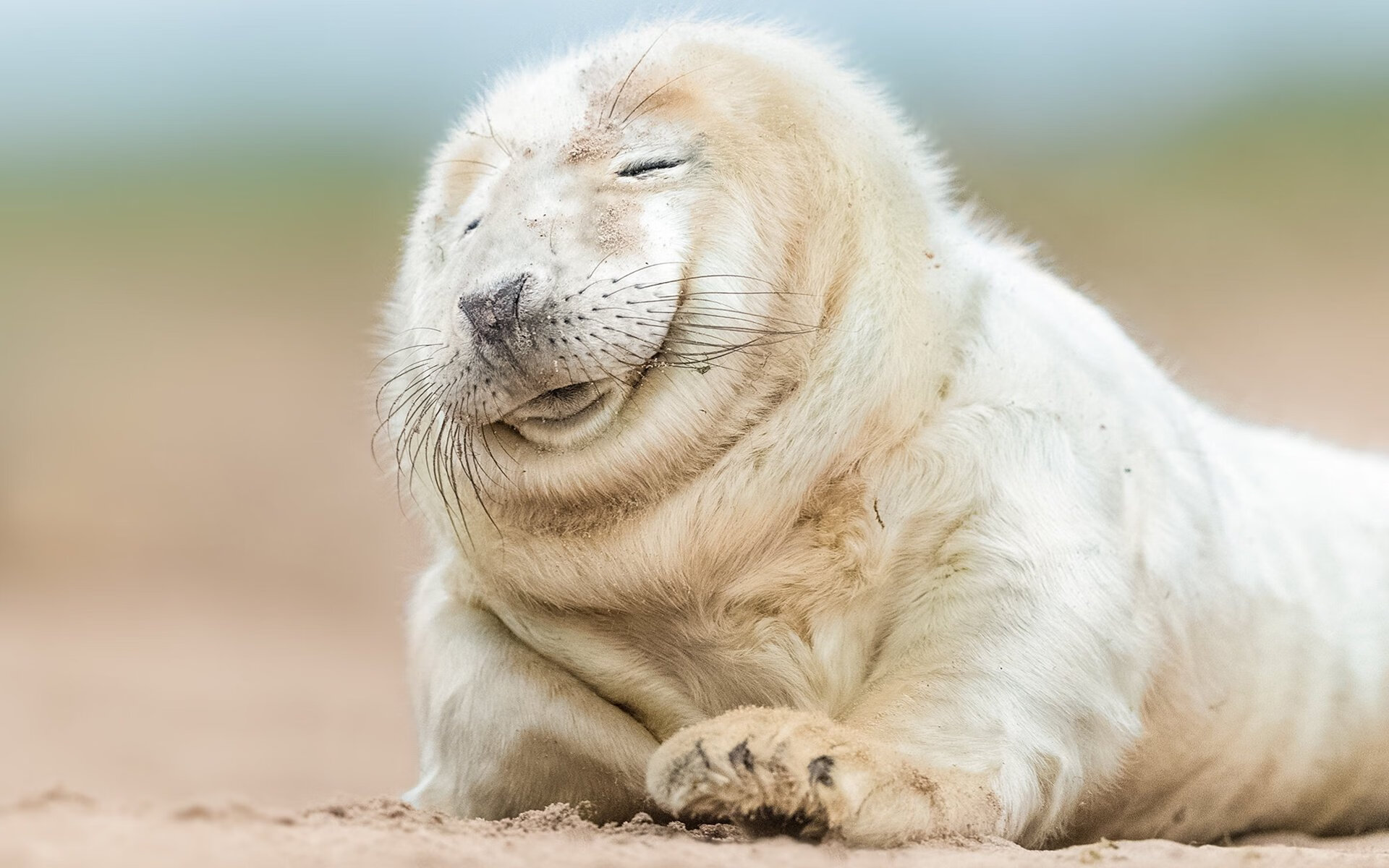 米兰体育官网-莫莉·奥卡拉汉女子100米自由泳赛场新星,里约奥运会女子100米自由泳