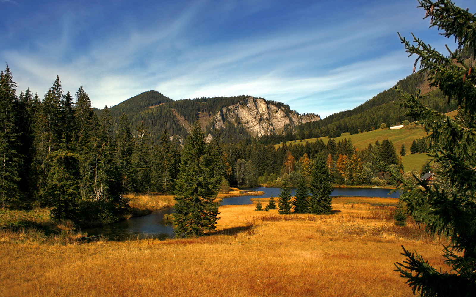 AC米兰-麦金托什刷新个人800米自由泳最佳成绩，加拿大游泳运动员麦金托什